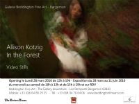 Allison Kotzig In the Forest Video Stills. Du 28 mars au 11 juin 2016 à Bargemon. Var.  12H.0